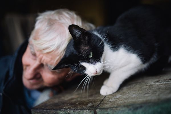 Close-up of a cat playing with an old man | Source: Flickr