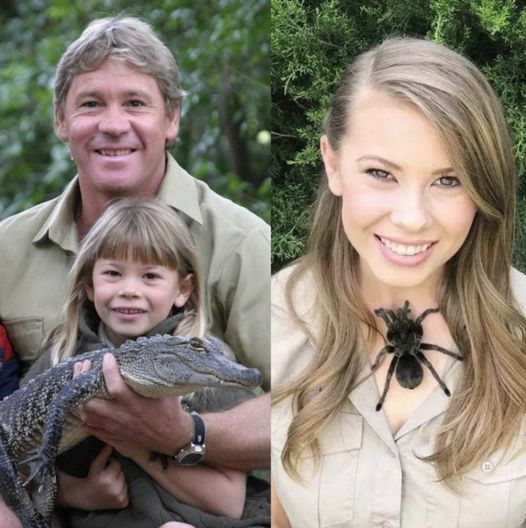 Bindi Irwin On The Path To Recovery After Ten Years Of Indescribable Pain And Misery