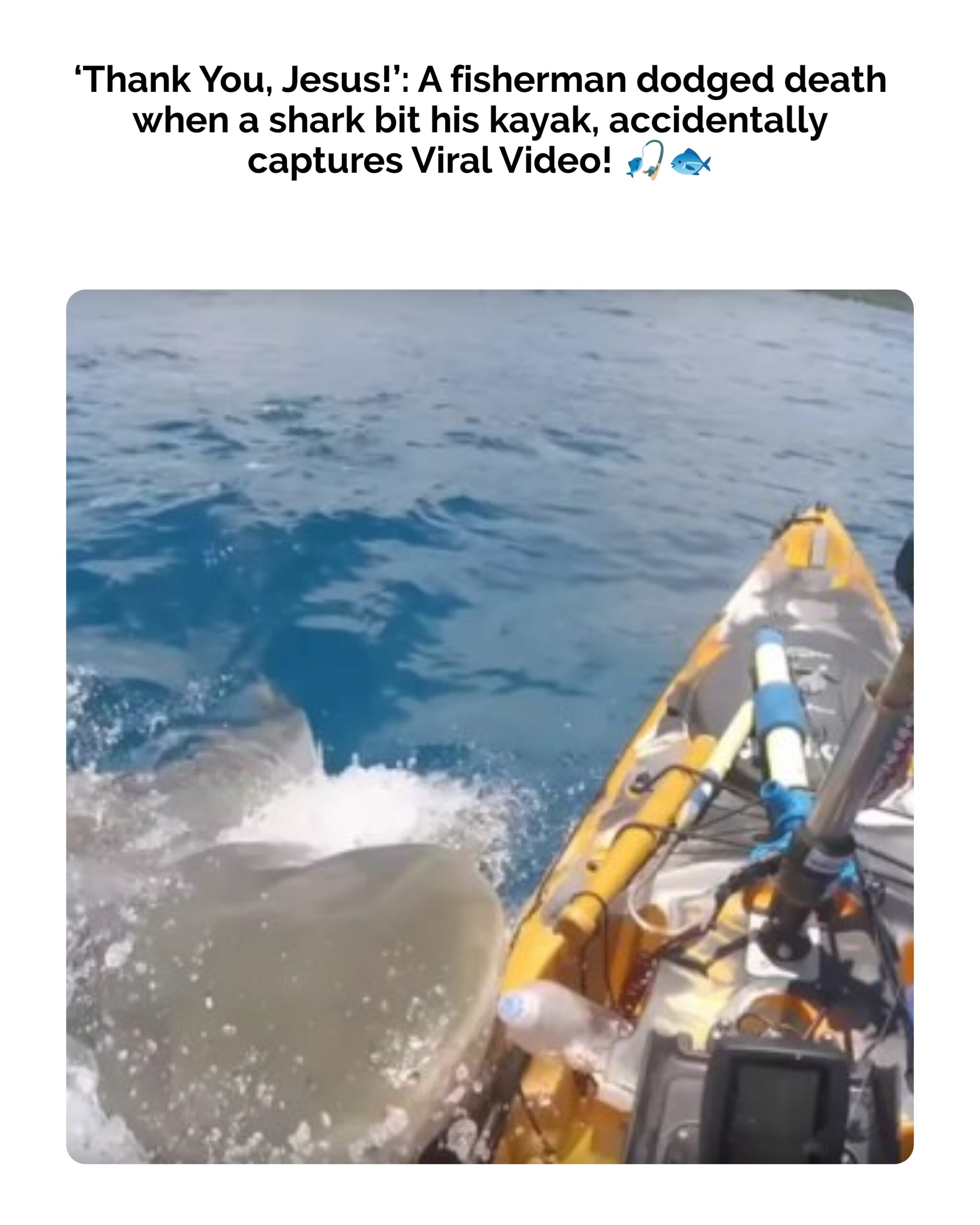 ‘Thank You, Jesus!’: Fisherman Narrowly Escapes Kayak-Chomping Shark, Accidentally Captures Viral Video