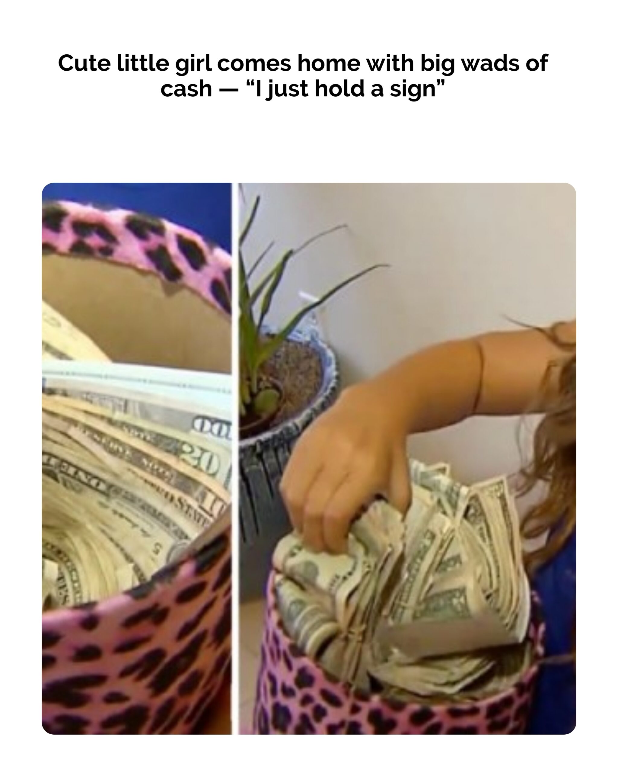 Cute Little Girl Comes Home With Big Wads Of Cash: “I Just Hold A Sign”