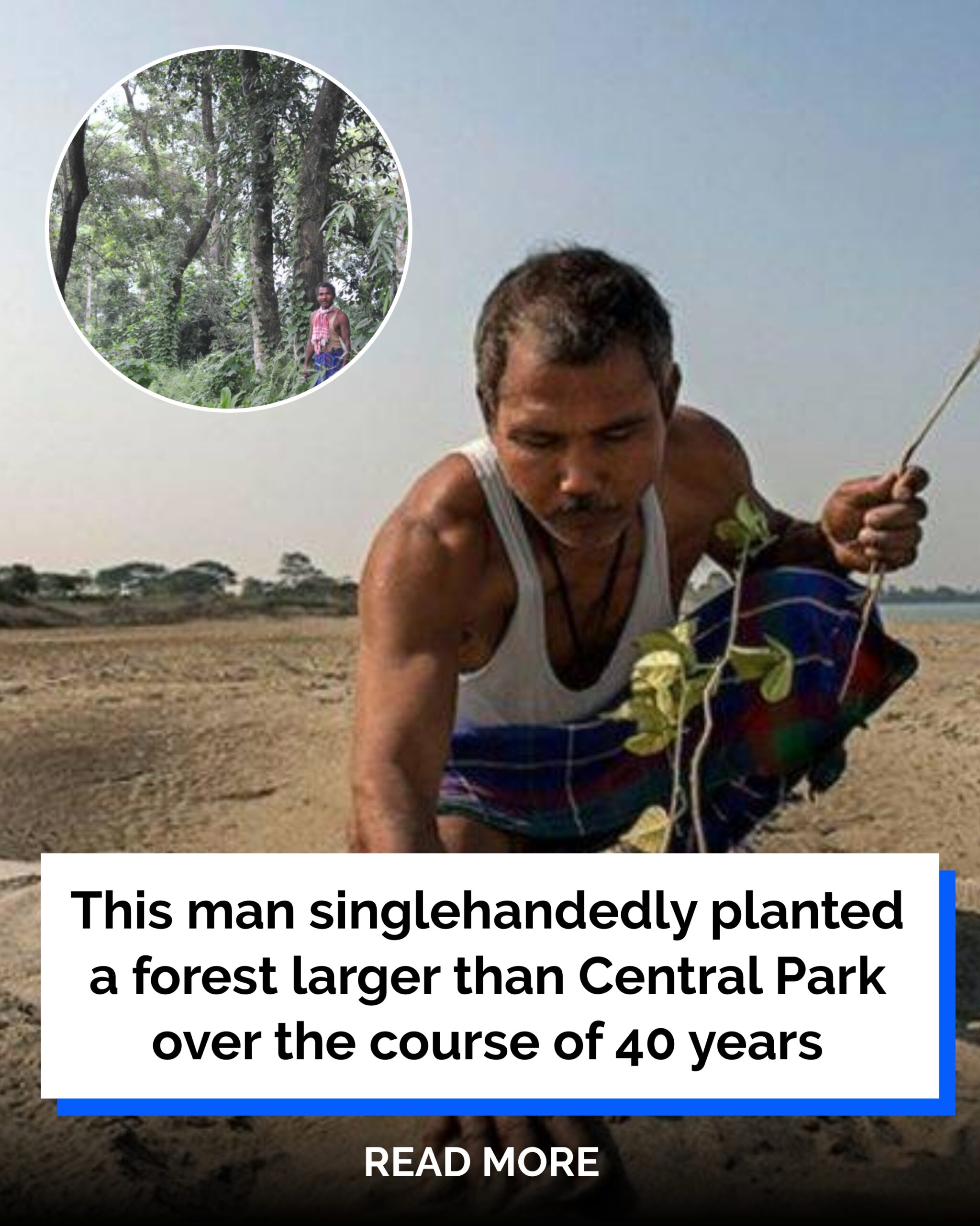 This Man Singlehandedly Planted A Forest Larger Than Central Park Over The Course Of 40 Years