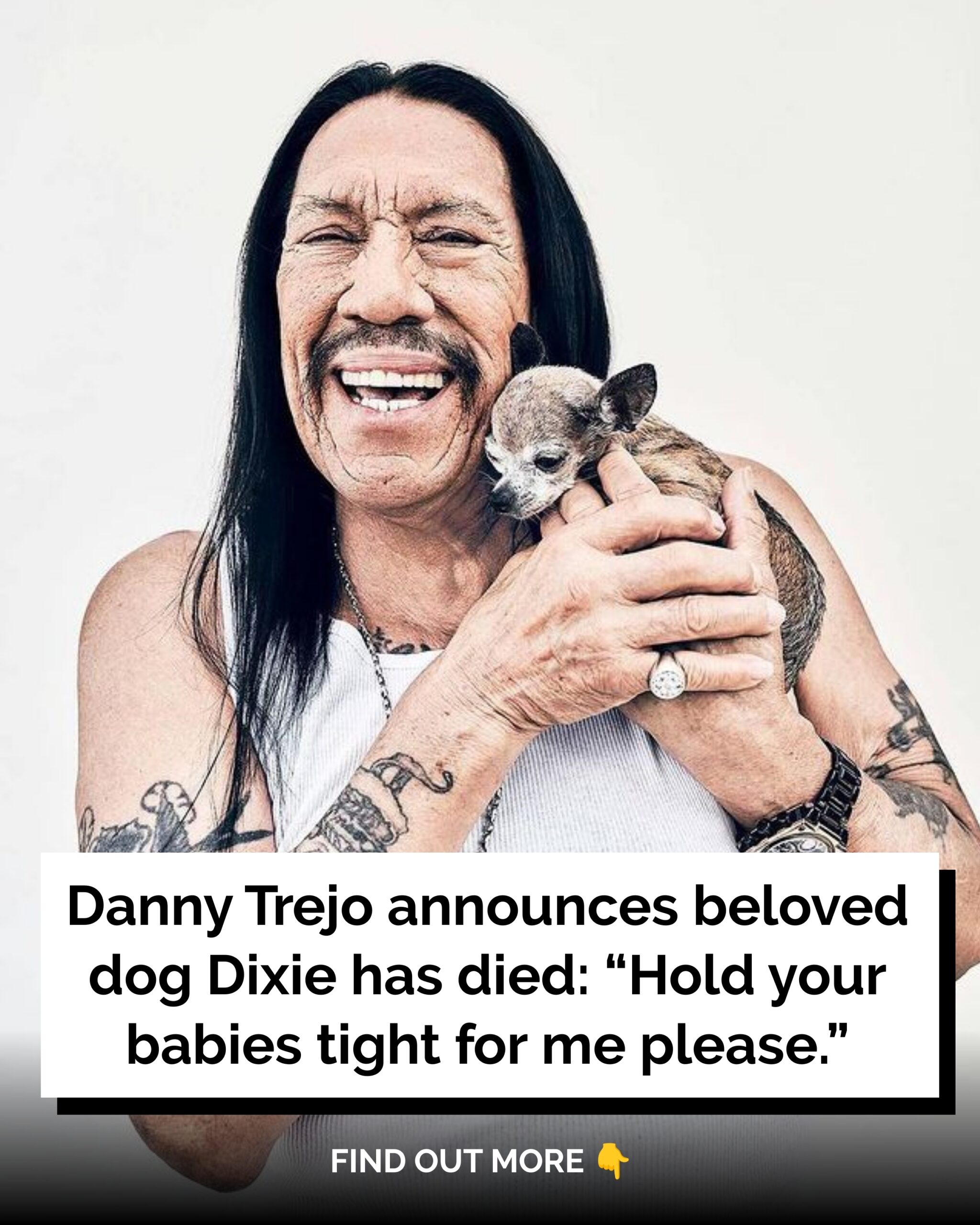 Danny Trejo announces beloved dog Dixie has died: “Hold your babies tight for me please”