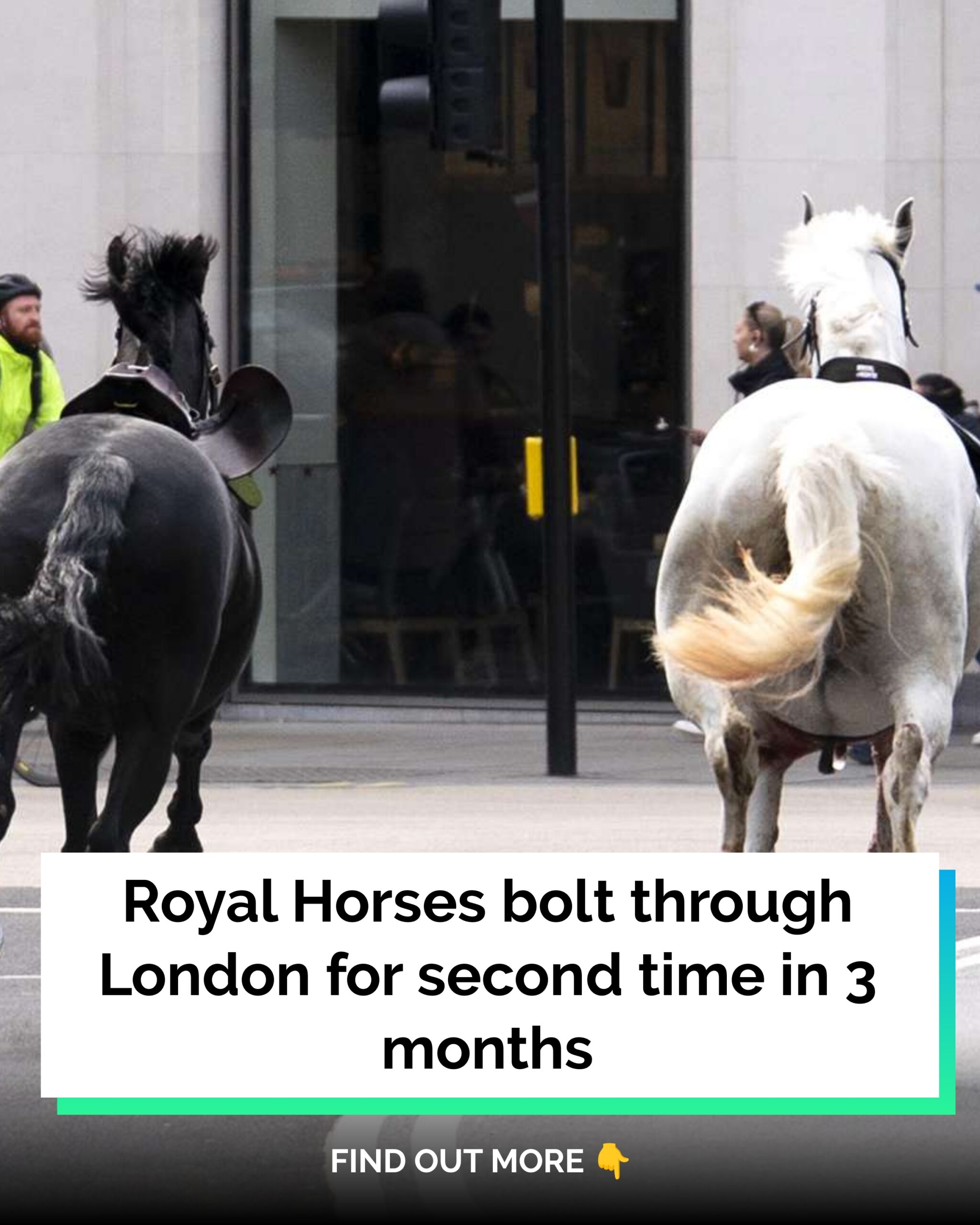 Royal Horses Bolt Through London for Second Time in 3 Months