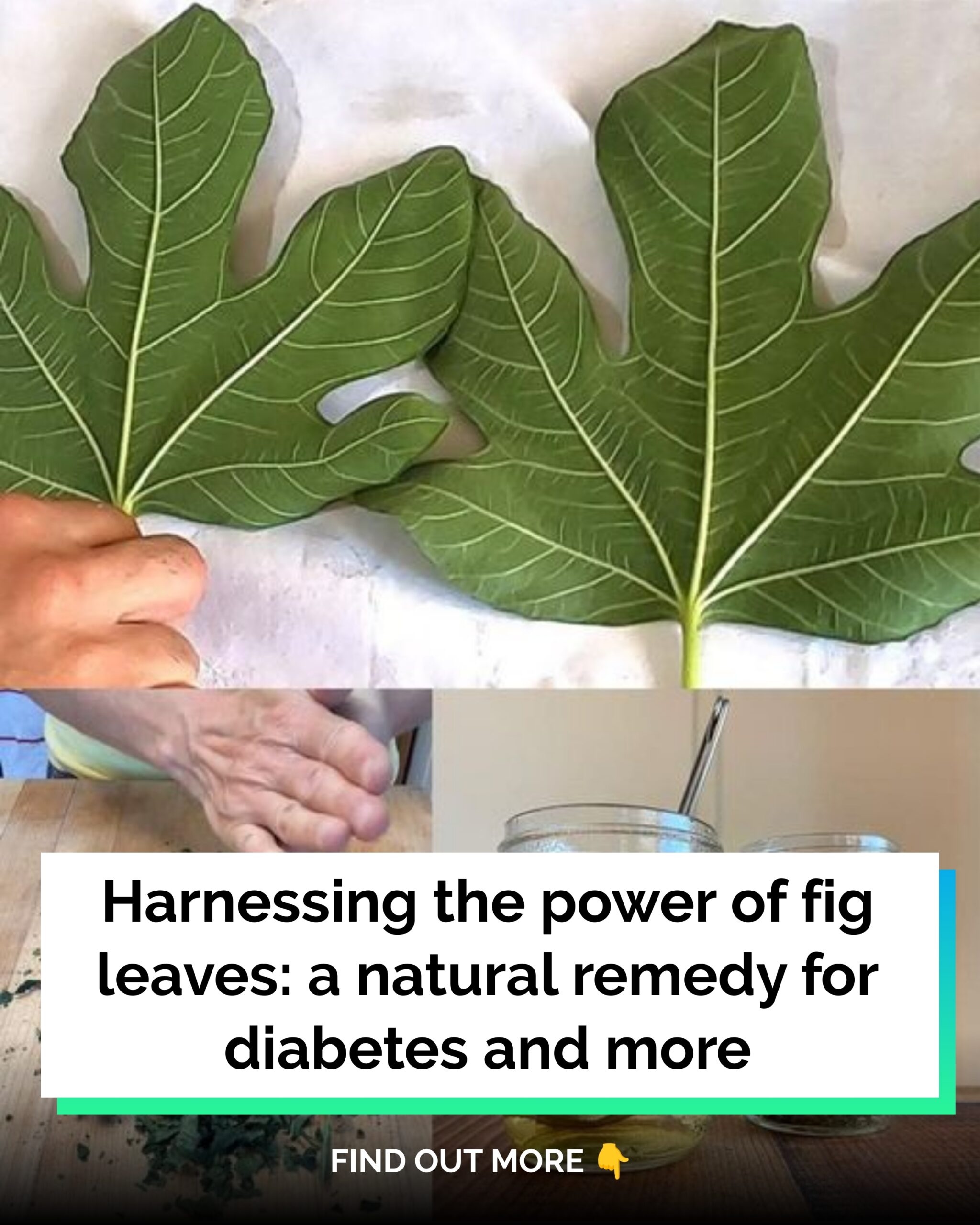 Harnessing the Power of Fig Leaves: A Natural Remedy for Diabetes and More