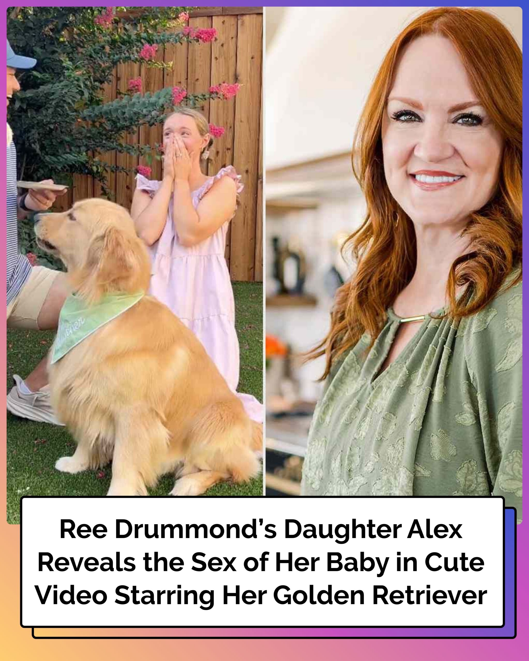 Ree Drummond’s Daughter Alex Reveals the Sex of Her  Baby in Cute Video Starring Her Golden Retriever