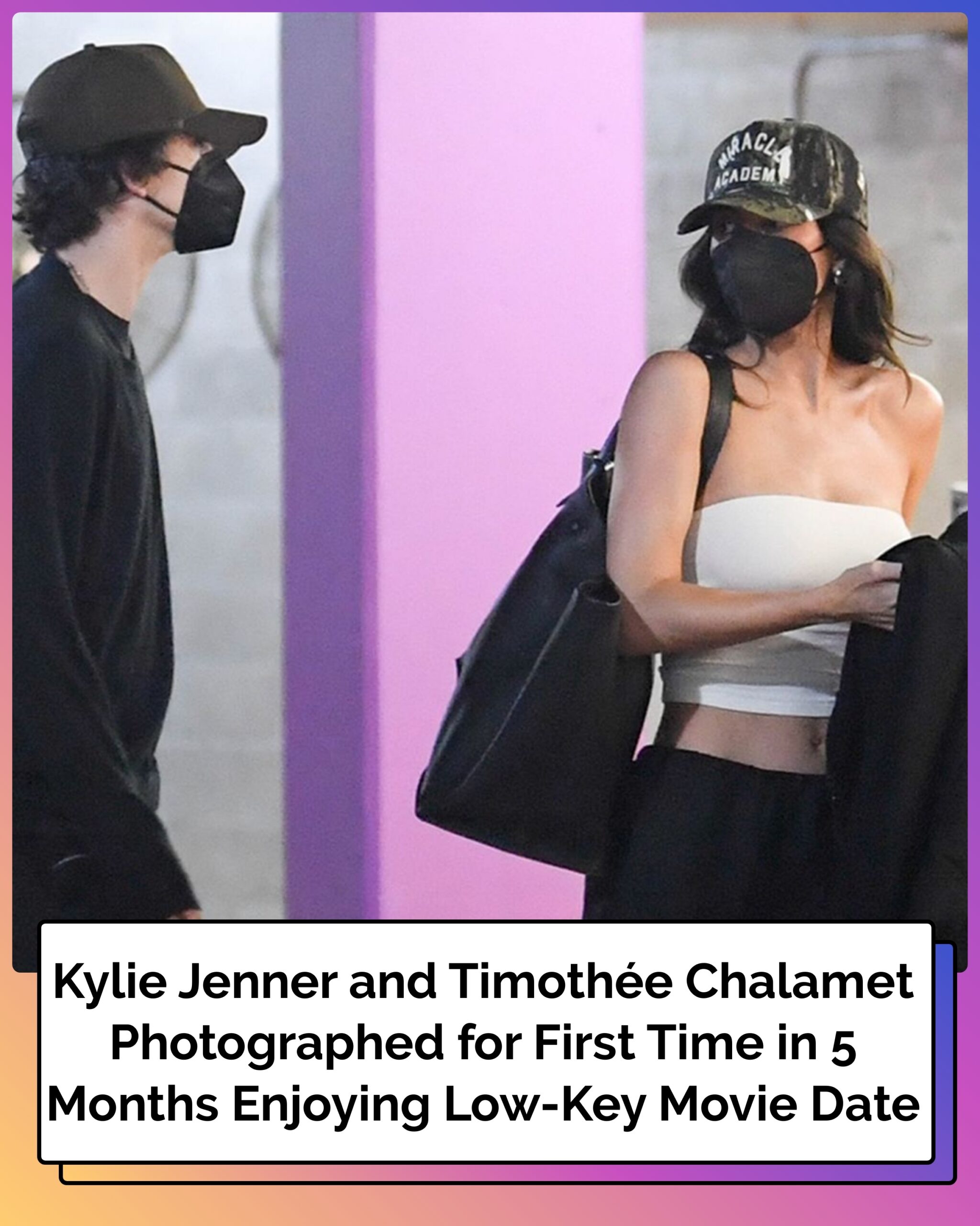 Kylie Jenner and Timothée Chalamet Photographed for First Time in 5 Months Enjoying Low-Key Movie Date