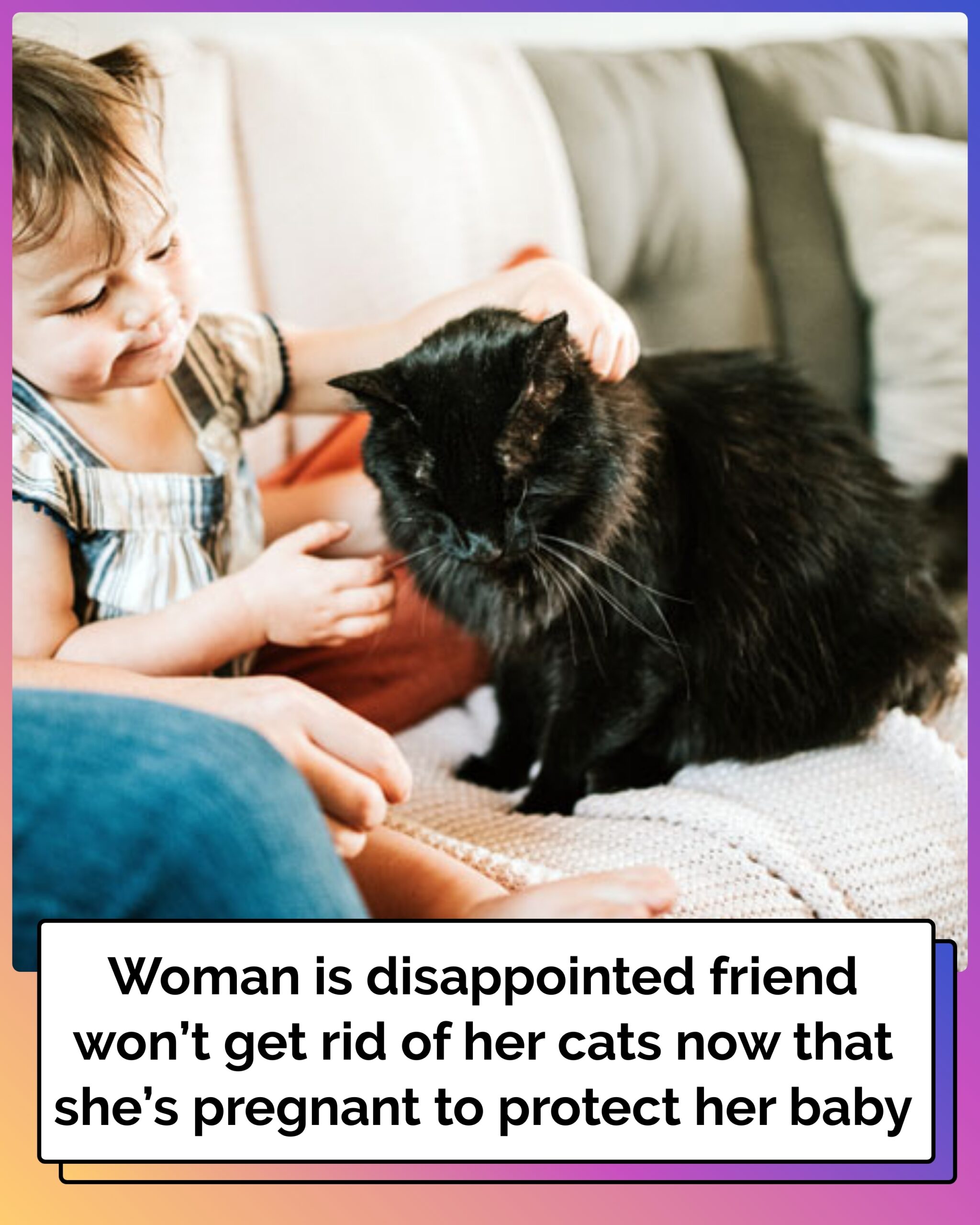 Expecting Mom Resolutely Keeps Her Cats Despite Friend’s Strong Disapproval