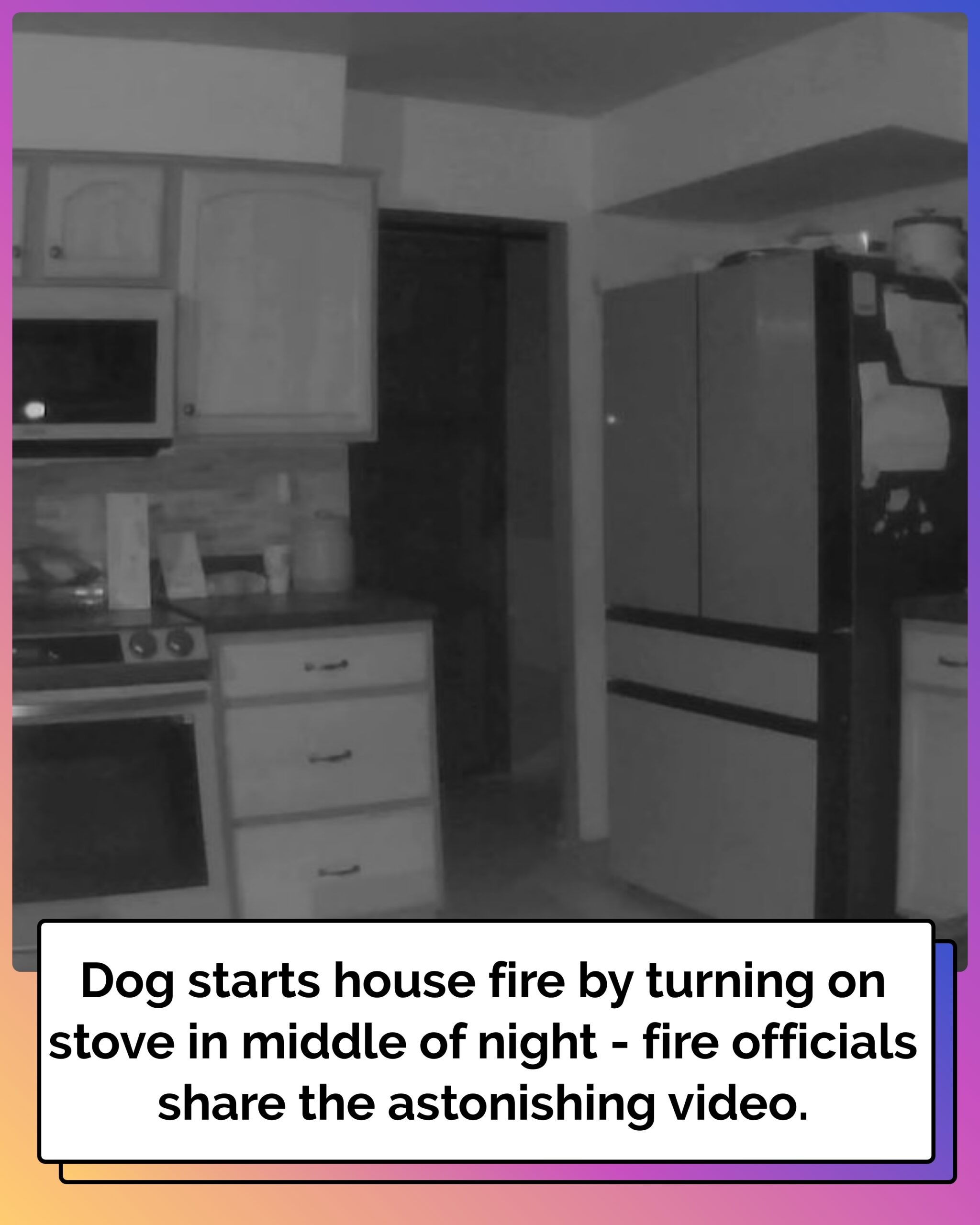 Video shows dog starting house fire by turning on stove in middle of night