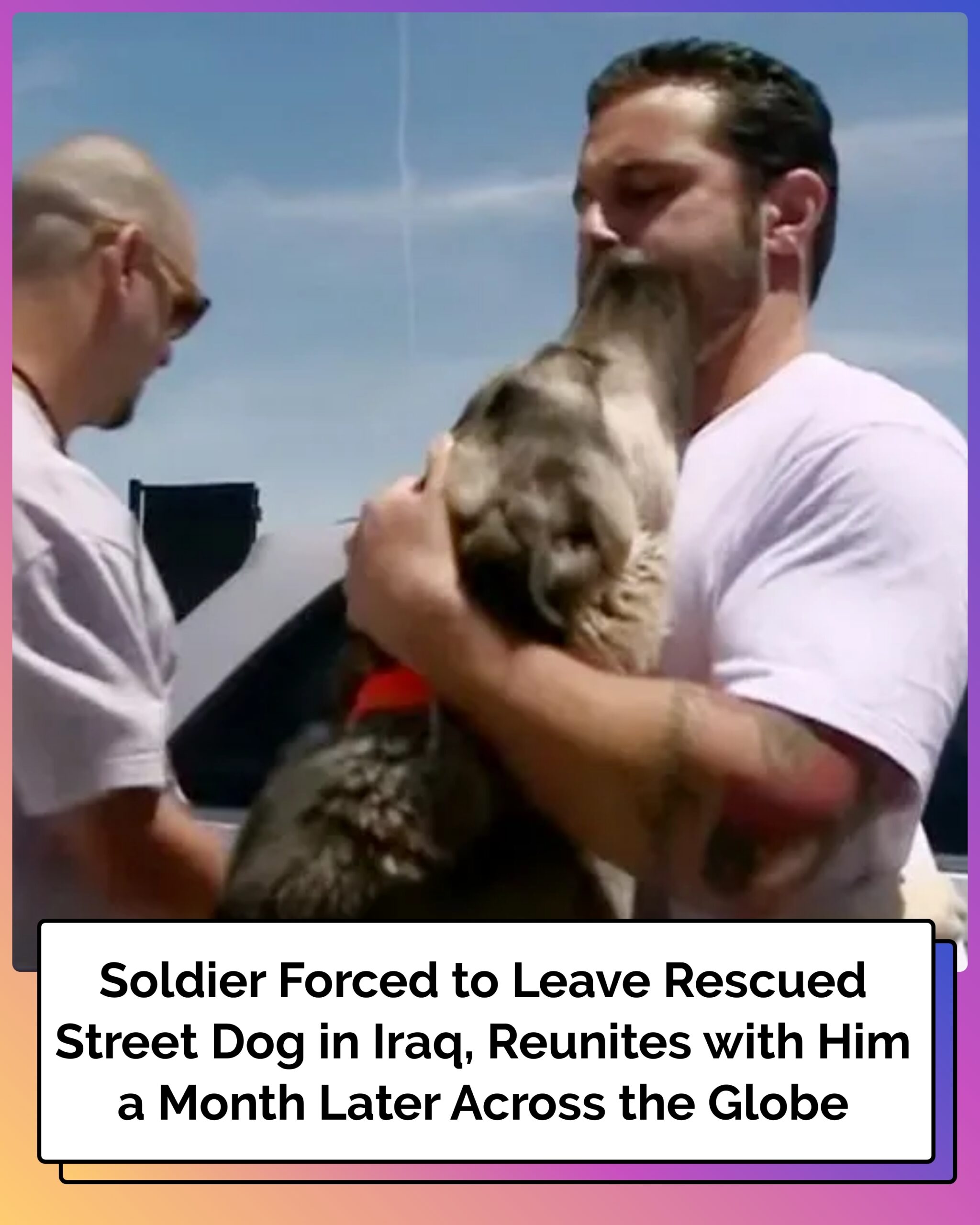 Soldier is forced to leave street dog he rescued in Iraq. 1 month later, they reunite on the other side of Earth